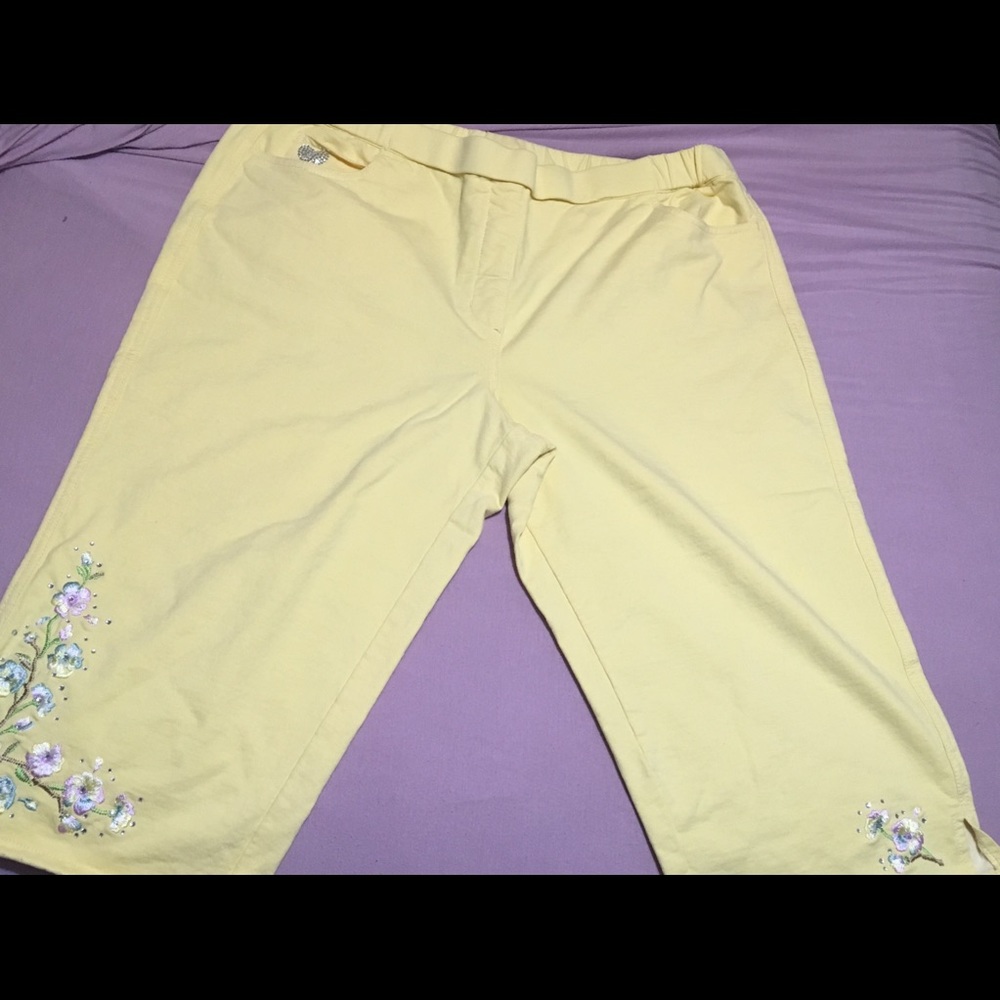 Quacker Factory Dream Jeannes  Sz XL crop pants